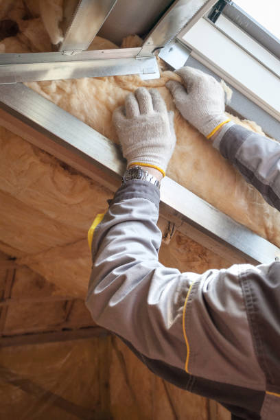 Best Insulation Maintenance and Repair in Statham, GA